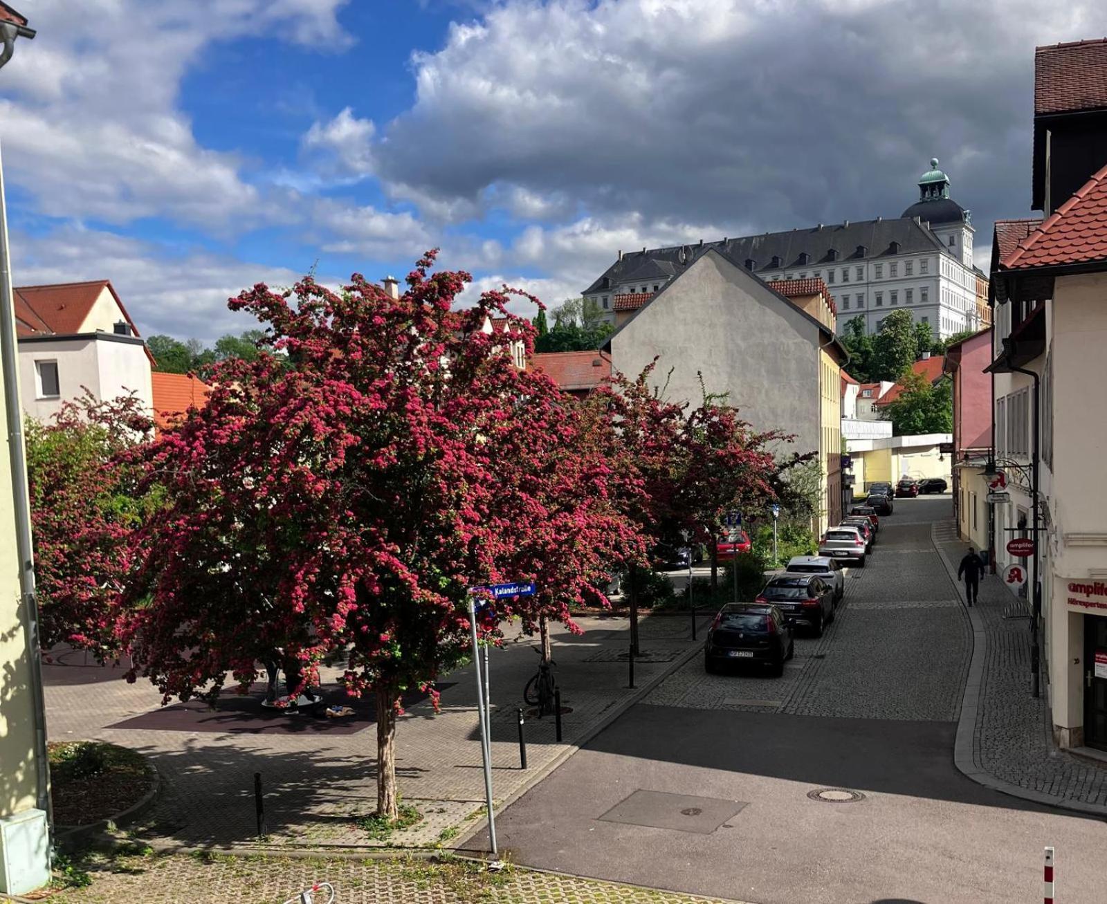 Ferienzimmer Healing Und Montuerwohnung Weißenfels Esterno foto